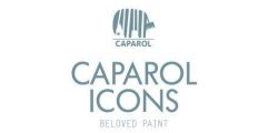 telefonansagen.de Kunden Caparol Icons